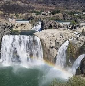 Meet your Posher, Billy